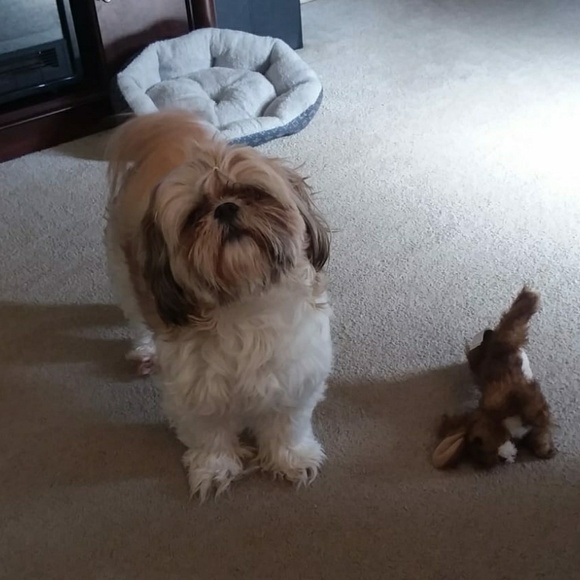 Meet your Poshers Megan and Hector R. - Picture 5 of 10